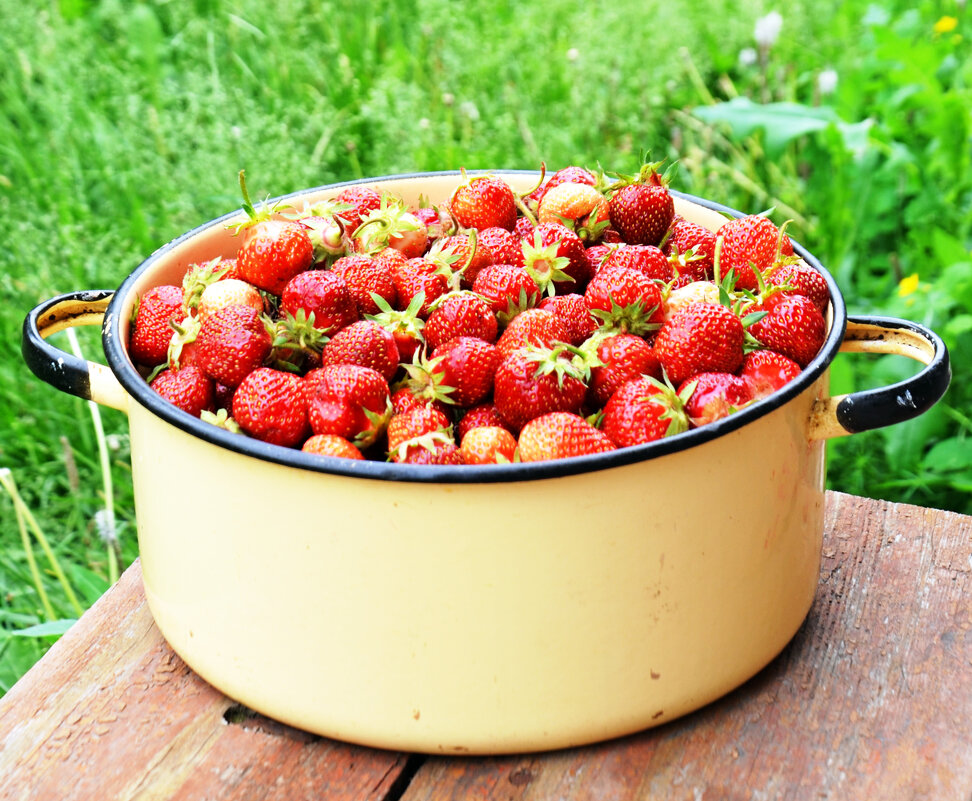 Клубника. Урожай 2025 - Сергей М 