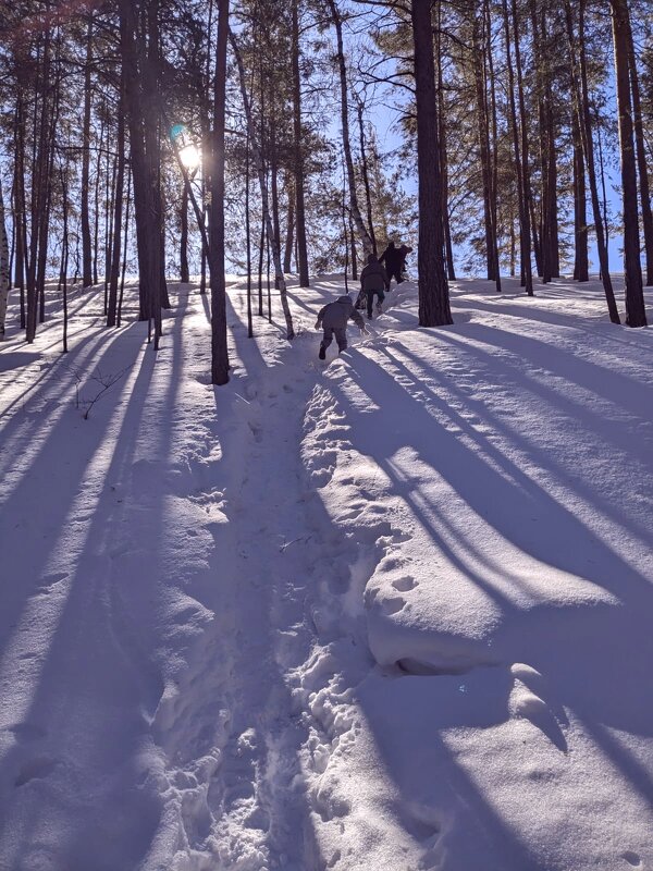 Зимнее солнце - Георгиевич Зимнее солнце - Георгиевич