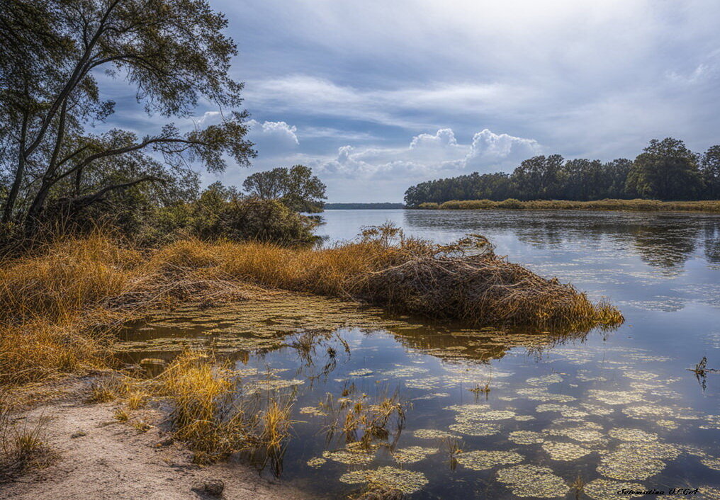 Ладога - Ольга Cоломатина