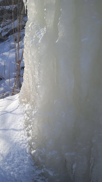 вариации на тему - Елена Шаламова