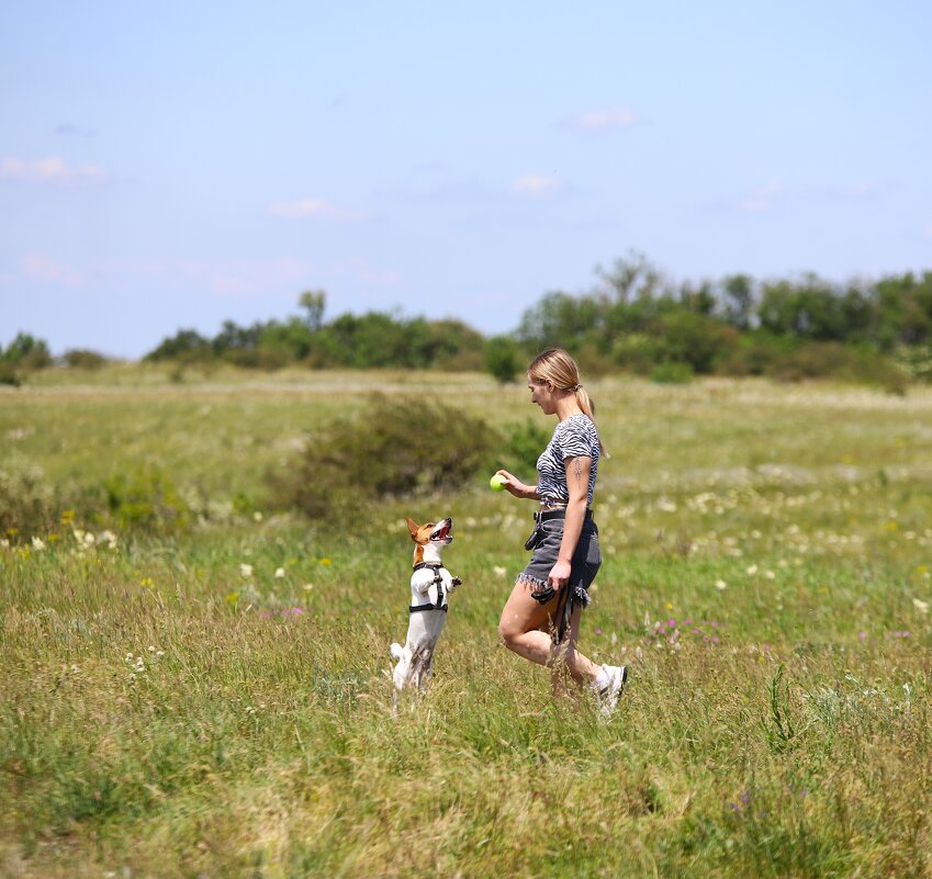 Дама с собачкой - Evgeny Mameev