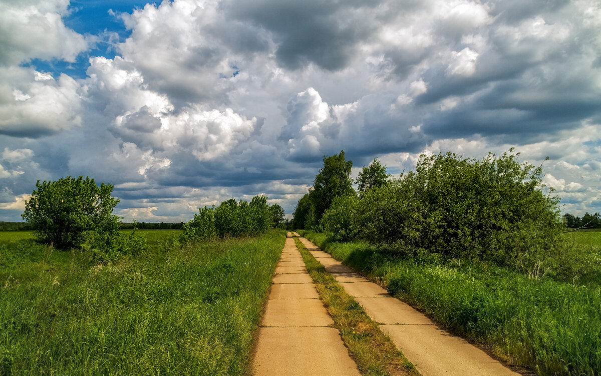 Первый летний день - Андрей Дворников