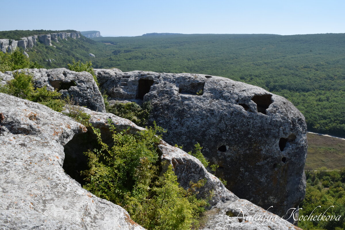 Природа Крыма - Amazing Cosmea
