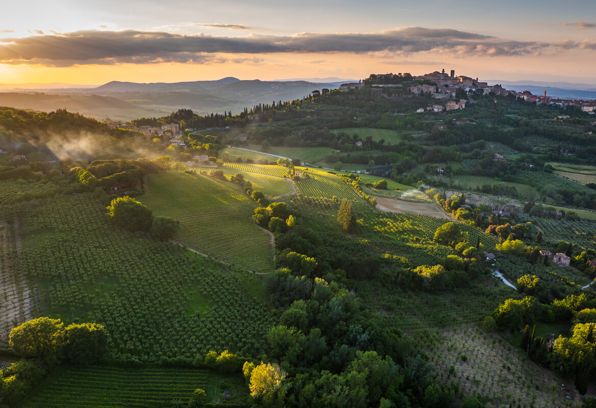 Монтепульчано - Алекс Римский Монтепульчано - Алекс Римский