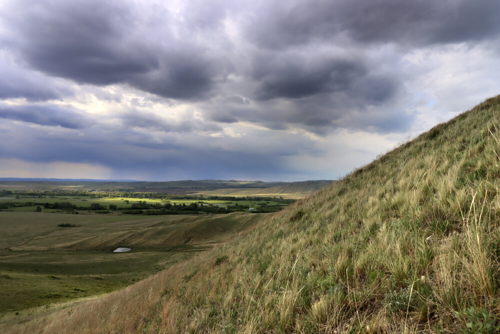 Облачно... Где-то на западе идёт дождь - Галина Ильясова Облачно... Где-то на западе идёт дождь - Галина Ильясова
