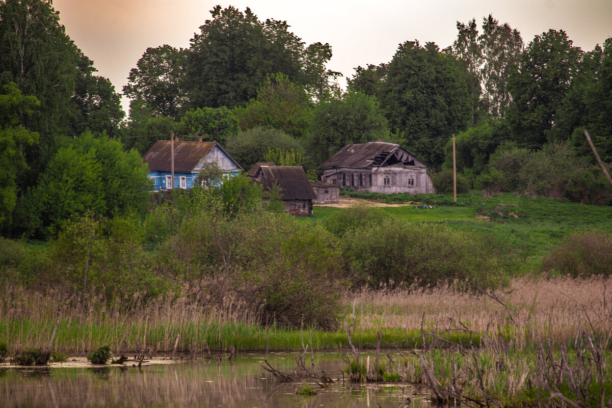 Павловичи - Sergei Vikulov