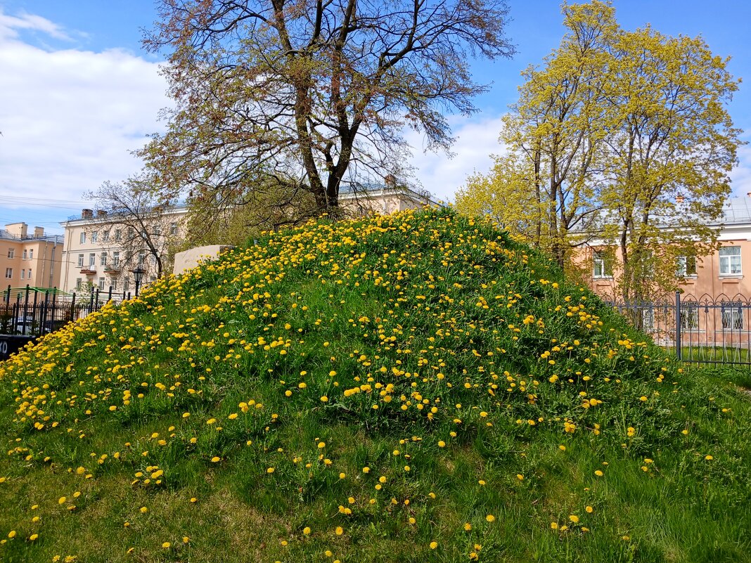 Одуванчиковая горка. - Лия ☼ Одуванчиковая горка. - Лия ☼