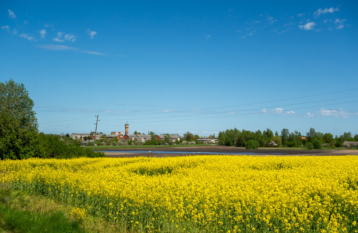 *** - Геннадий Порохов