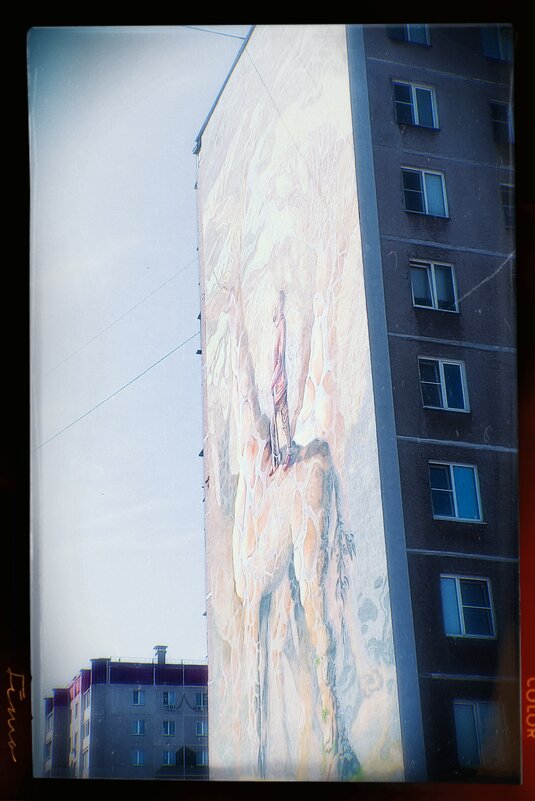 Мурал с жирафом. - Игорь Солдаткин