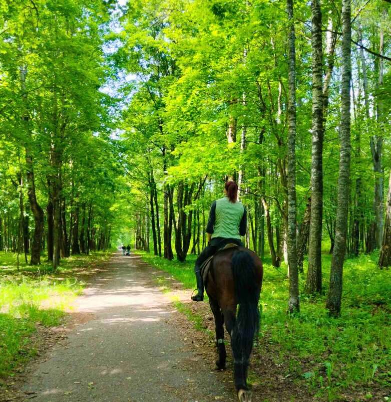 Верховая езда - Галина Бобкина