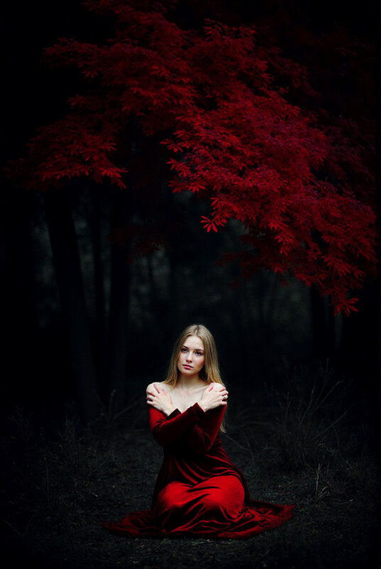 *** - Евгений Нодвиков