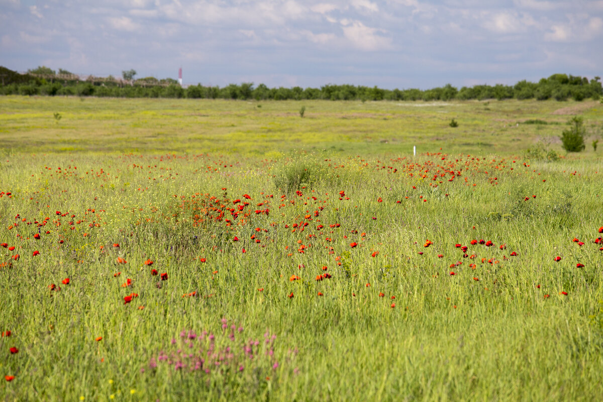 Крымские пейзажи - Светлана Тихонина Крымские пейзажи - Светлана Тихонина