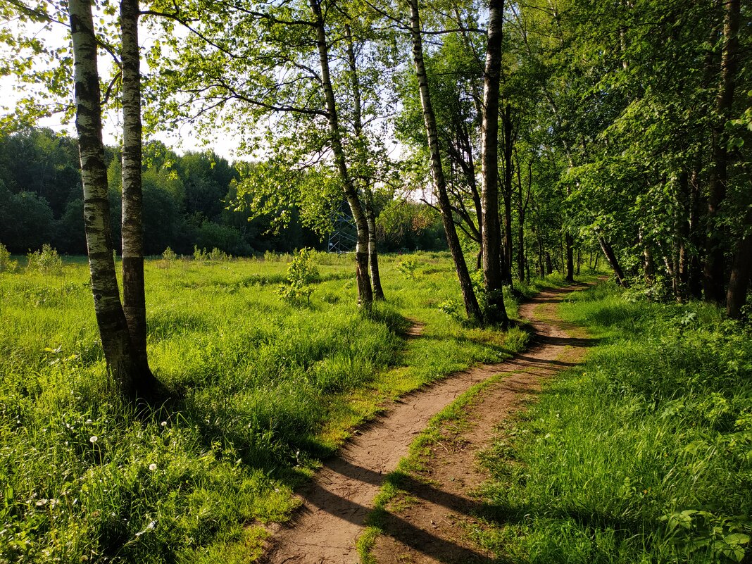 Зарисовки неюного натуралиста - Андрей Лукьянов