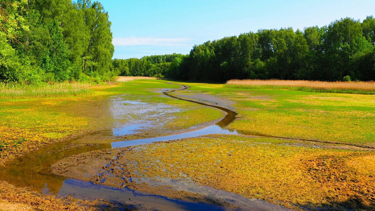 Воду слили для очистки дна водоёма. - Милешкин Владимир Алексеевич 