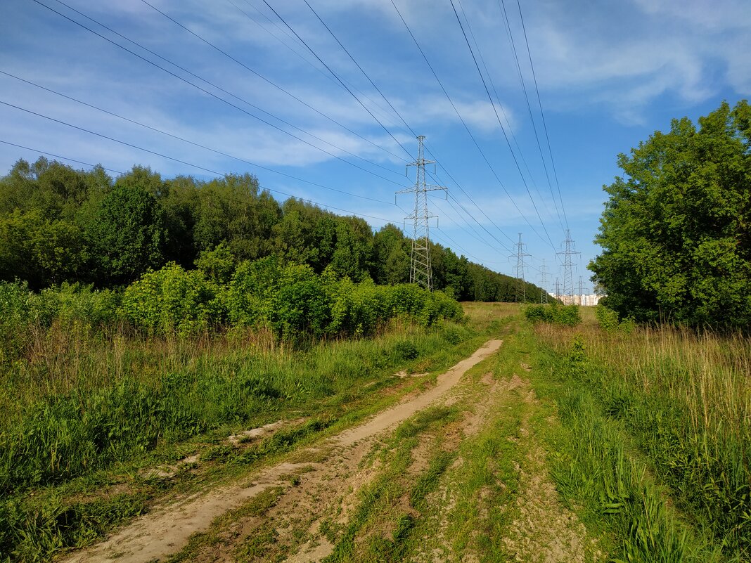 Зарисовки неюного натуралиста - Андрей Лукьянов