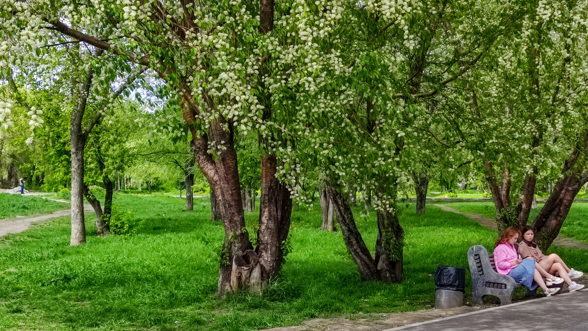 Летний парк - Dmitry i Mary S