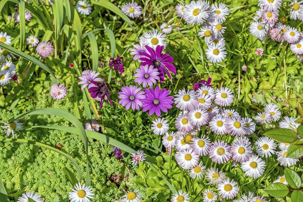 Июньские - Валерий Иванович