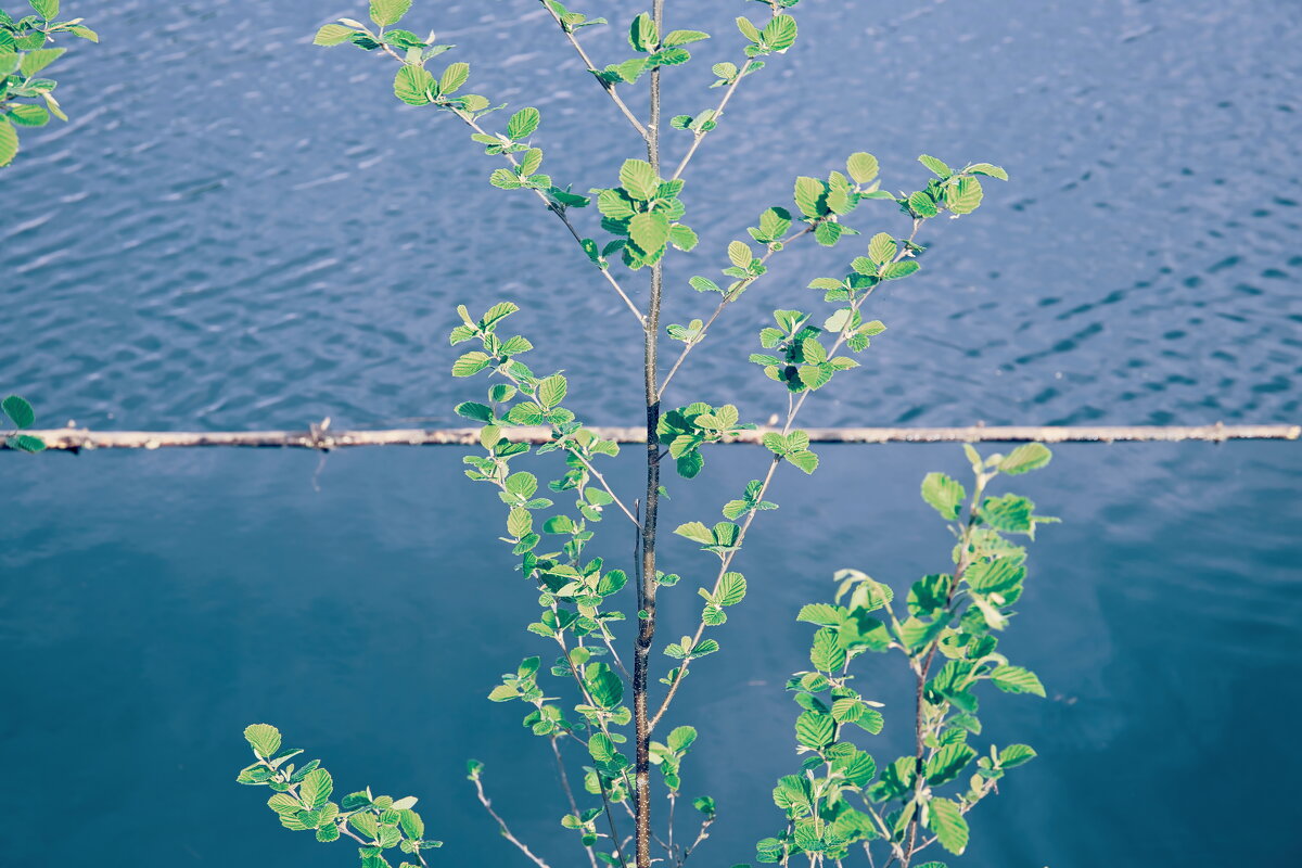 Назва. отсу. - Денис Безногов