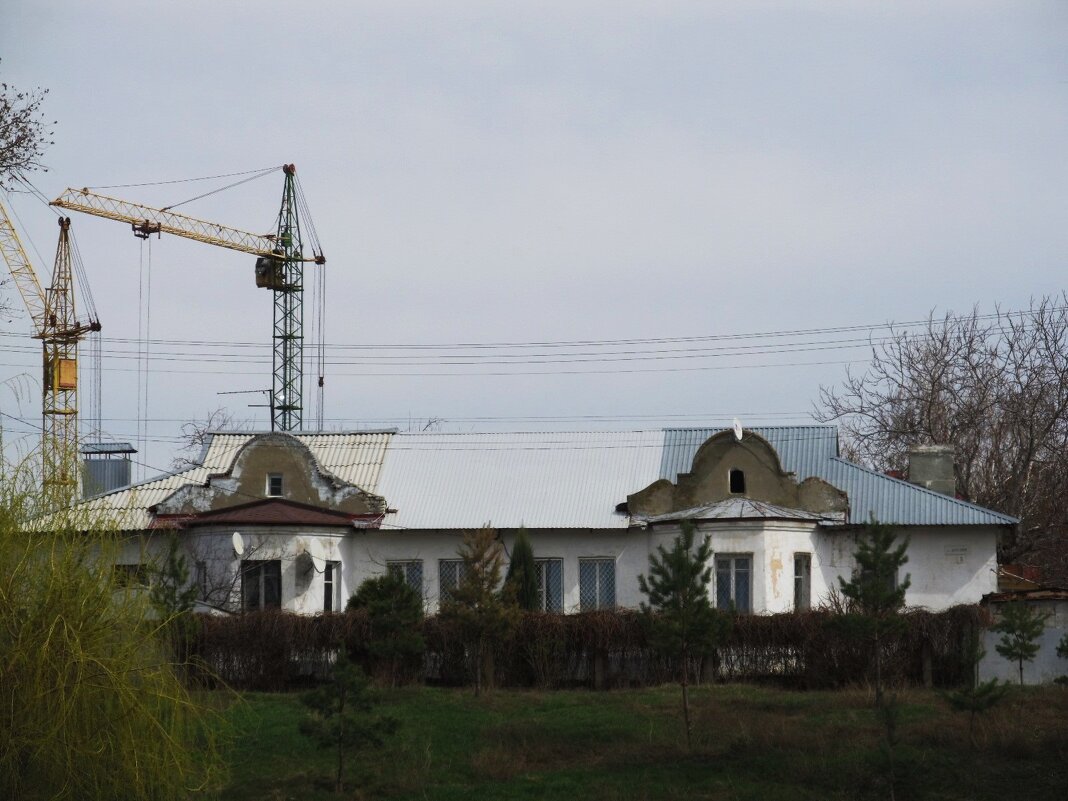 зарисовка - Елена Шаламова