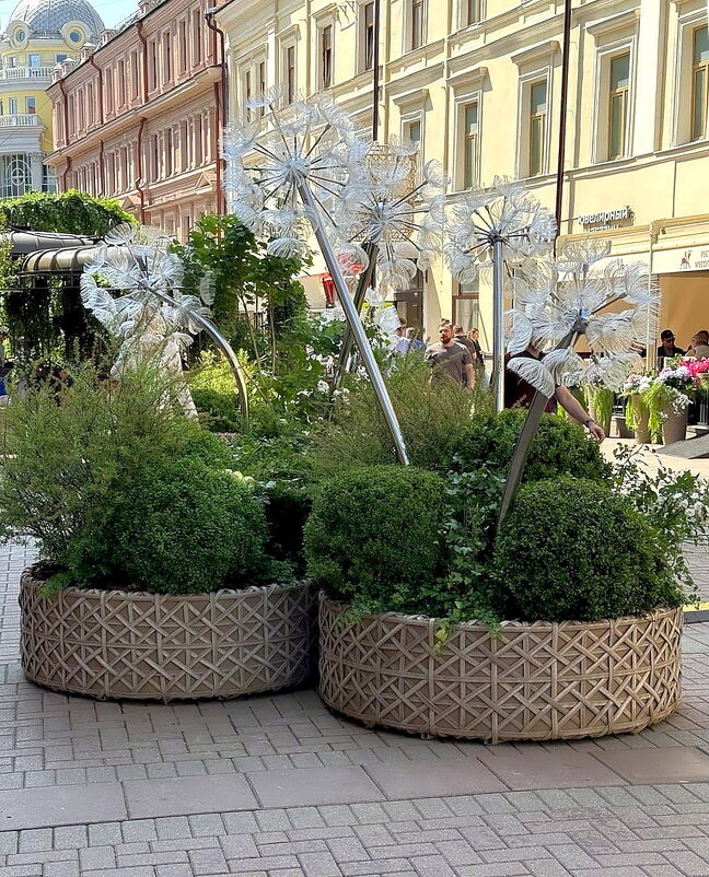 Прогулка по Москве. Одуванчики на Старом Арбате. - Ольга Довженко Прогулка по Москве. Одуванчики на Старом Арбате. - Ольга Довженко