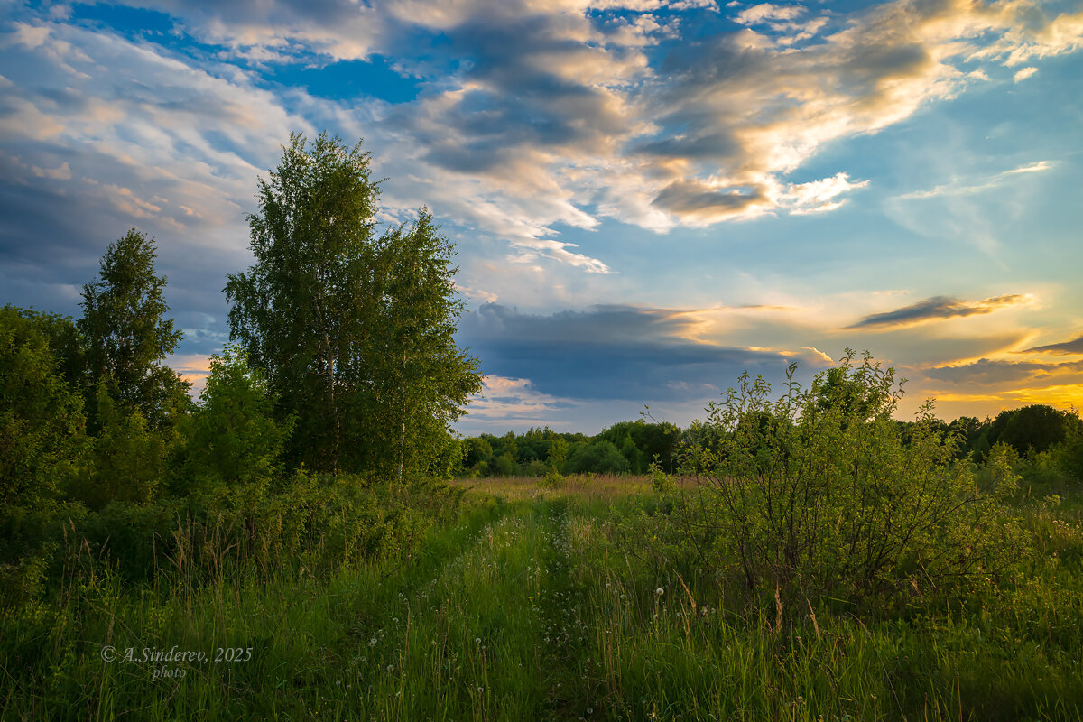 Майский вечер - Александр Синдерёв