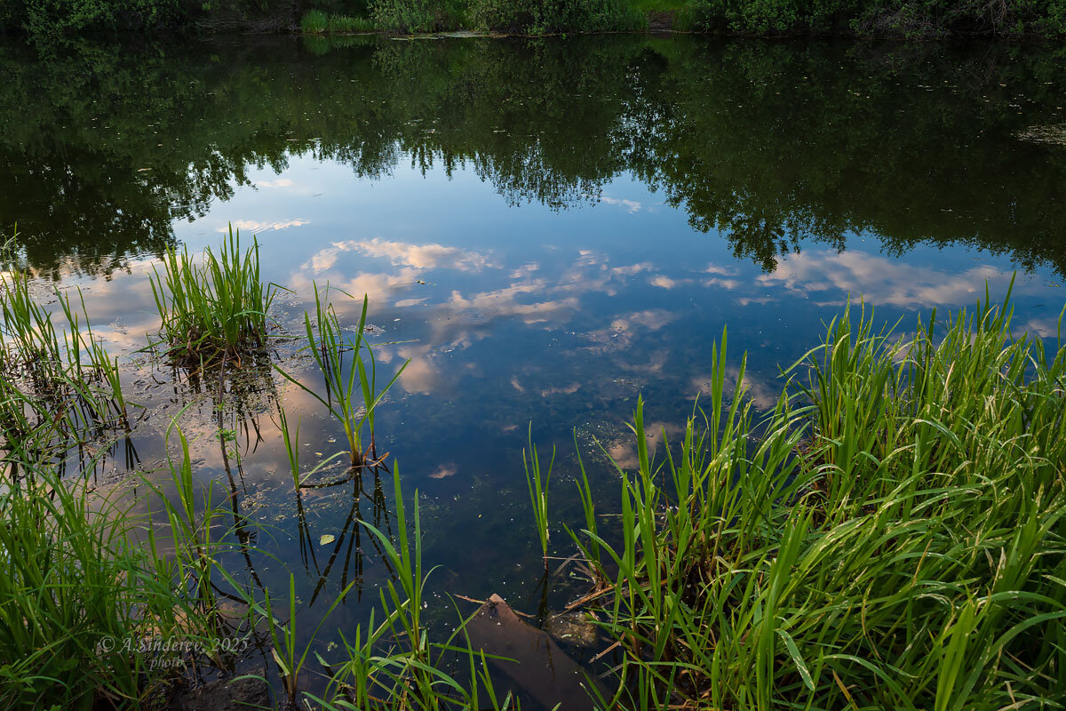 Водный пейзаж - Александр Синдерёв