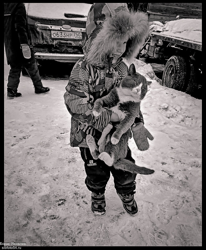 Кошкин друг. - Борис Яковлев