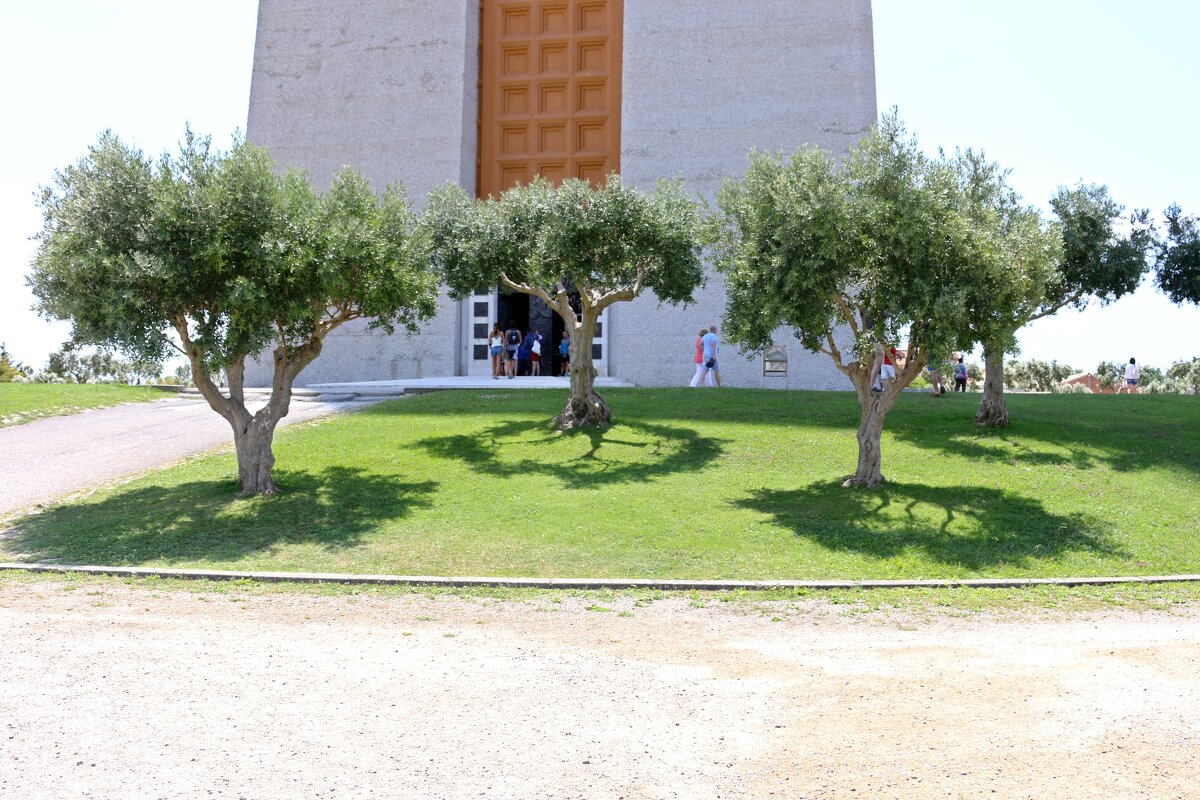 Оливковые деревья у статуи Христа - Ольга Оливковые деревья у статуи Христа - Ольга