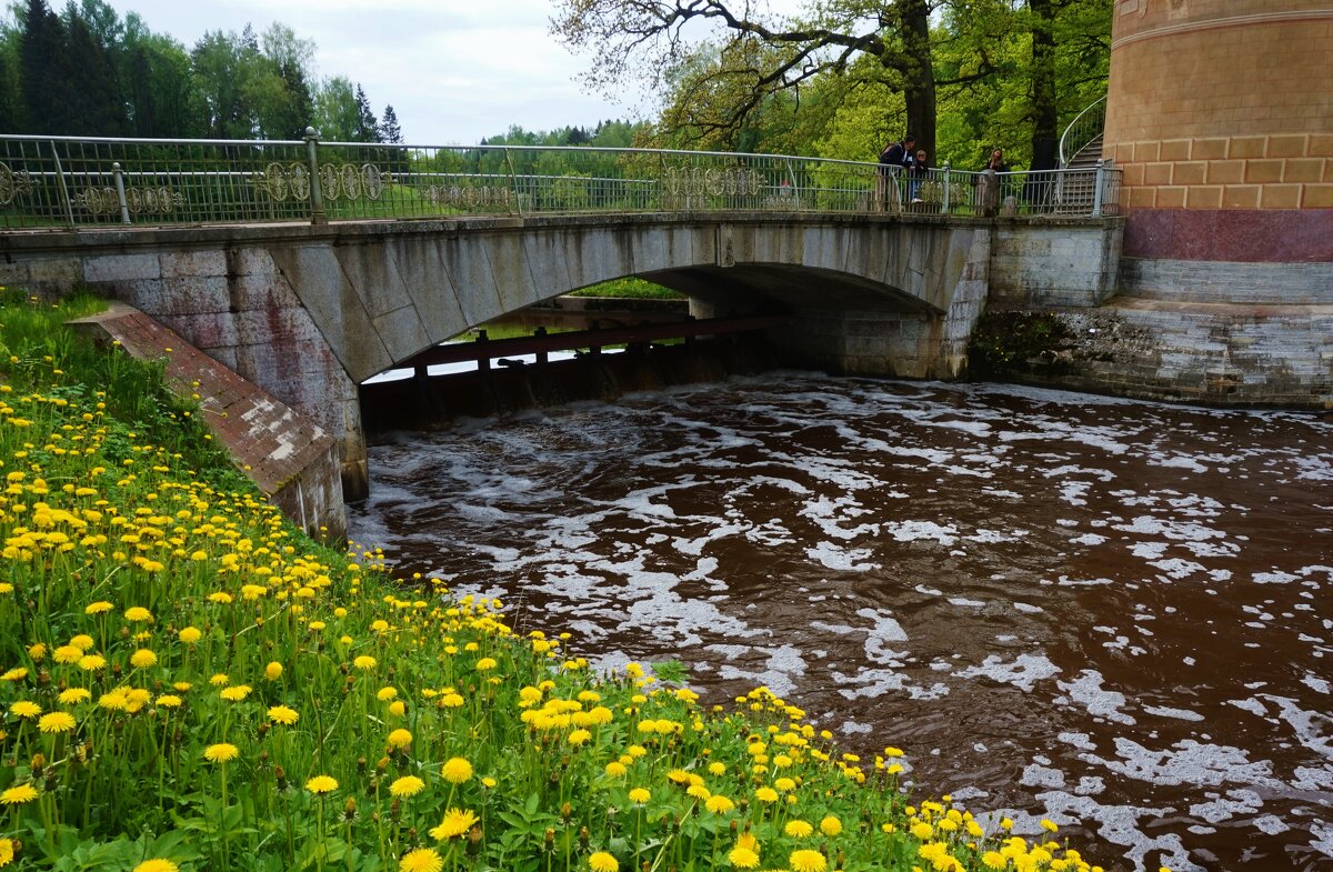 Река Славянка - Nataly St. 