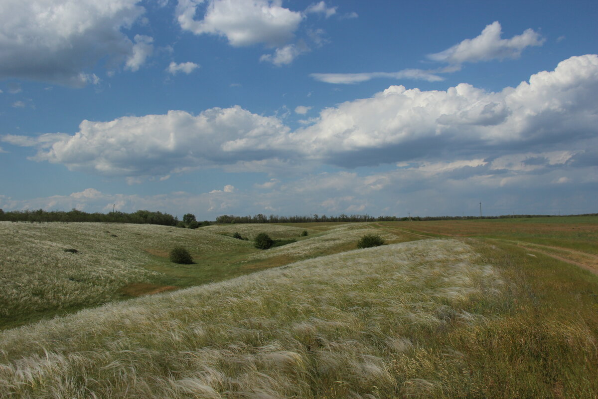 Местная красота. - Виктор Местная красота. - Виктор