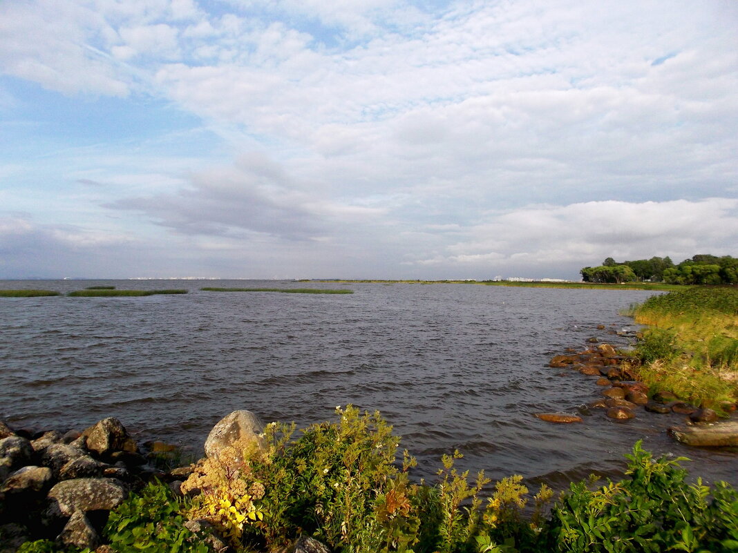 Финский залив. - VasiLina *