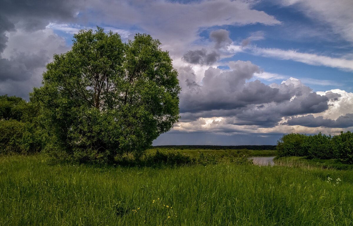 Первый летний день 3 - Андрей Дворников Первый летний день 3 - Андрей Дворников