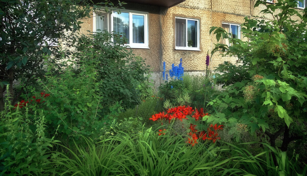 Палисадник. - fillarret-2 Палисадник. - fillarret-2