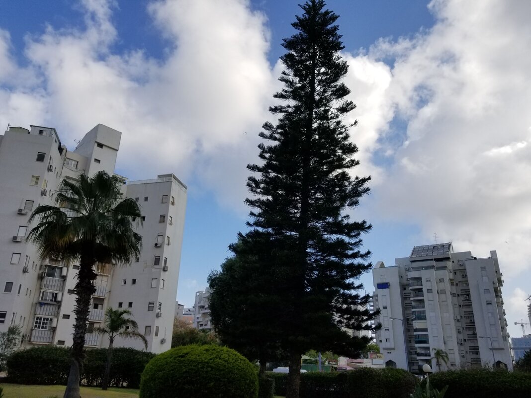 " - Светлана Хращевская " - Светлана Хращевская