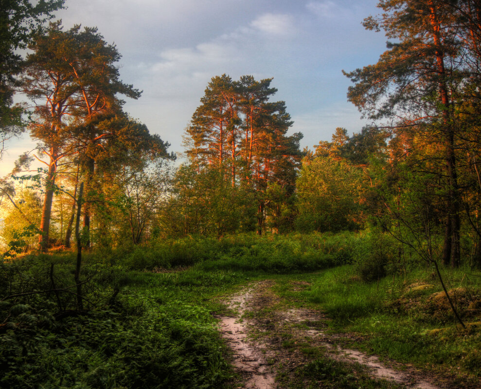 *** - Сергей Григорьев