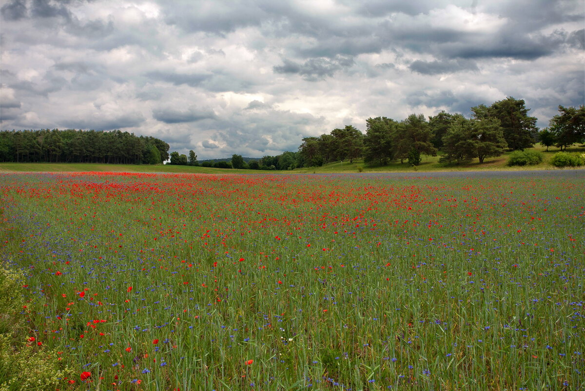 .. - vladimir .. - vladimir