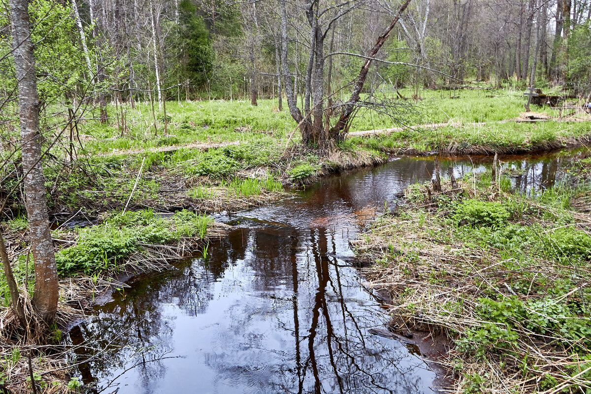 Река Кибелек - Алексей Р.