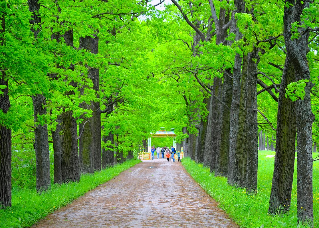 Аллея к Китайскому мостику... - Sergey Gordoff