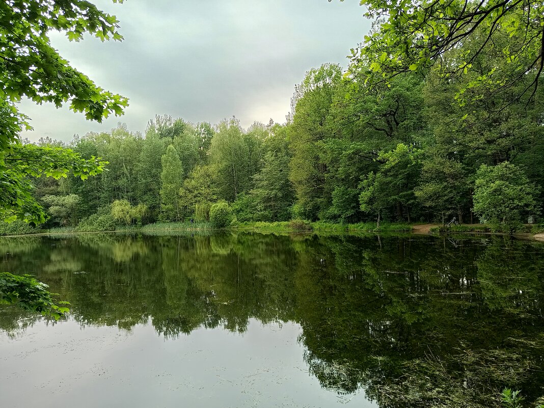 Сегодня облачно - Андрей Лукьянов Сегодня облачно - Андрей Лукьянов