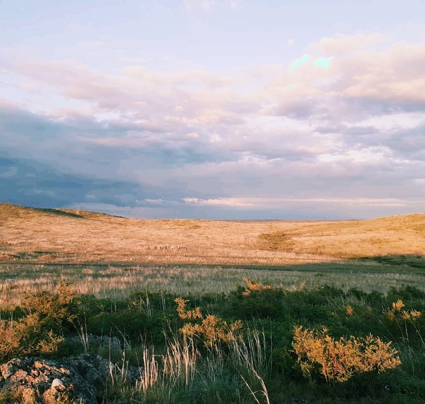 Солнечная степь - Георгиевич 