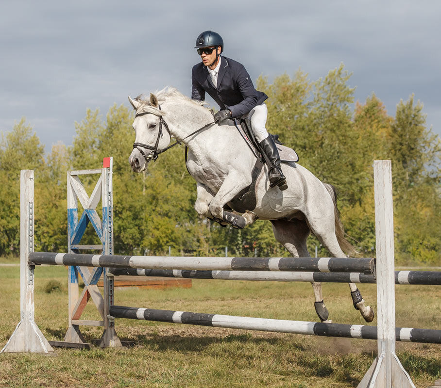 Конкур - SanSan 