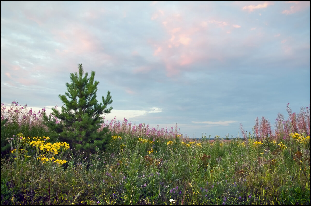 Как в детстве - **** vedin