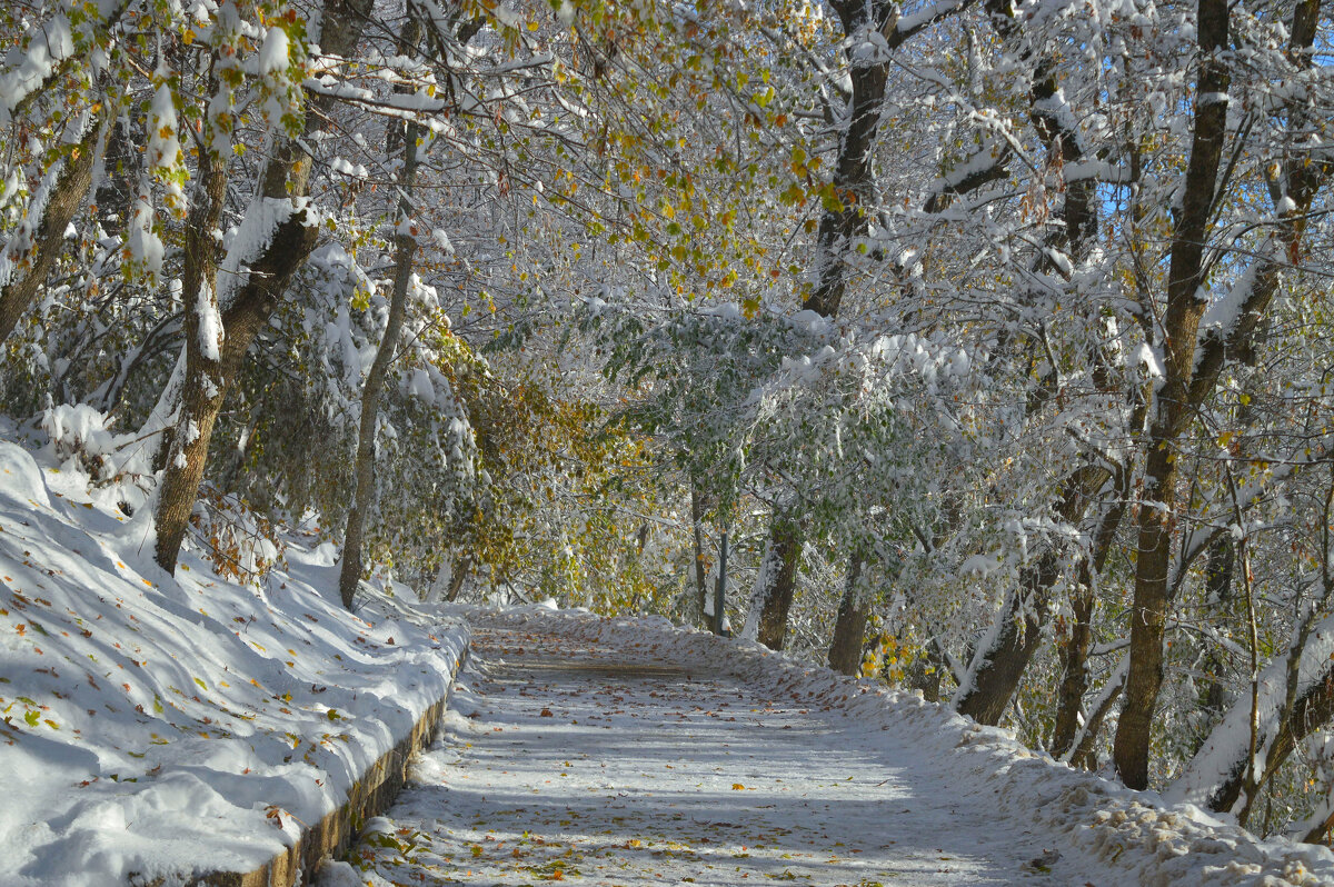 Утром холодным.... - Юрий Цыплятников Утром холодным.... - Юрий Цыплятников