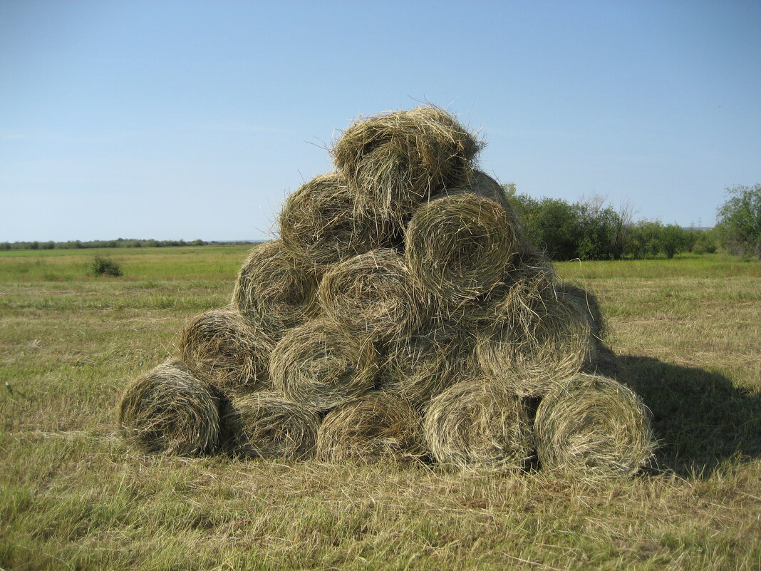 Уборочная пора - Anna Ivanova