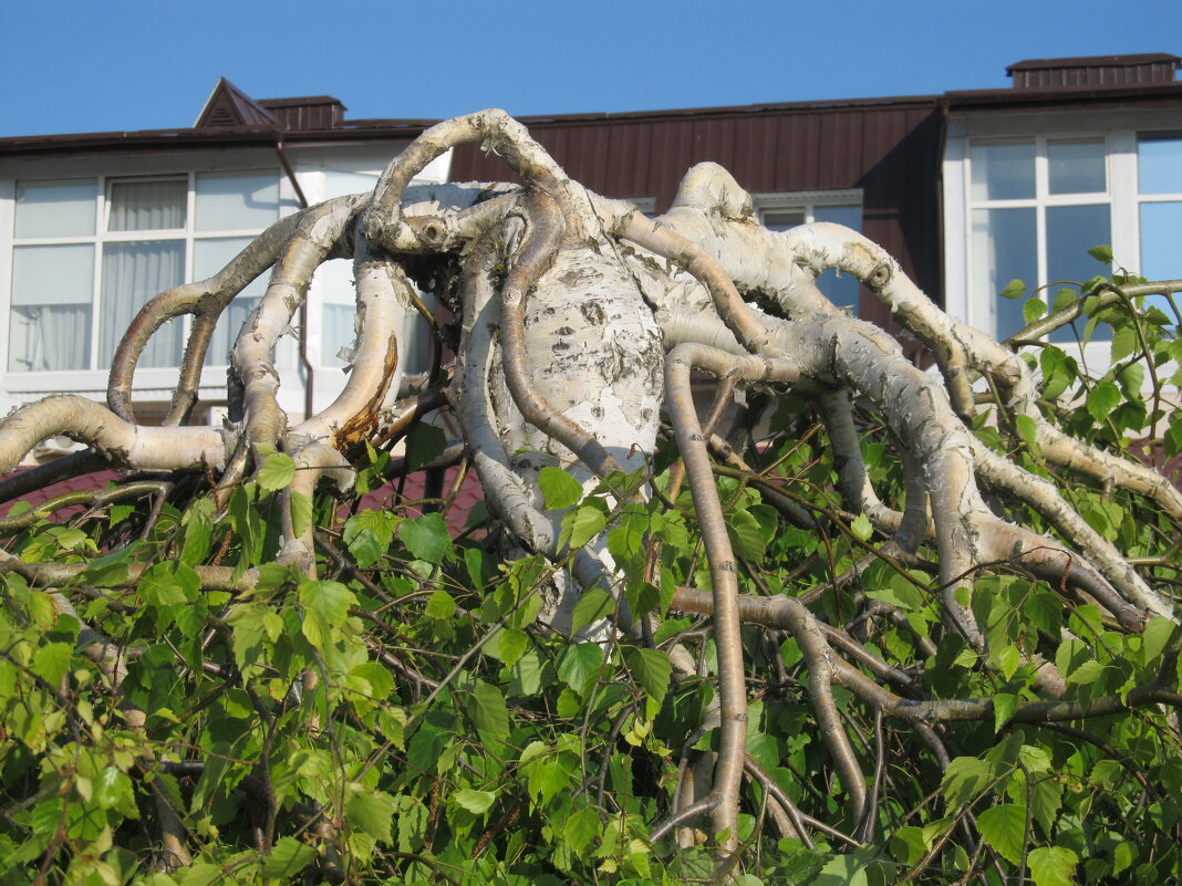 .......... - Елена Шаламова