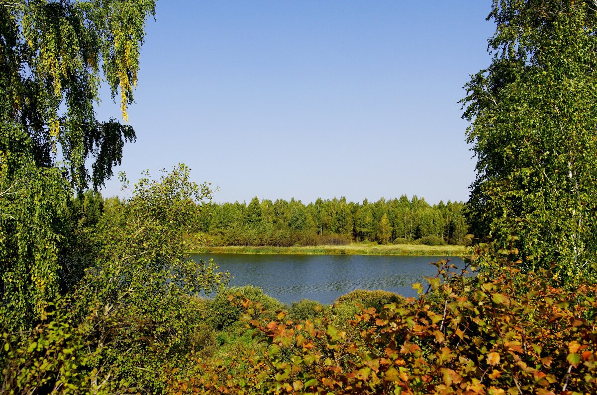 Солнечный день - Сергей Швечков