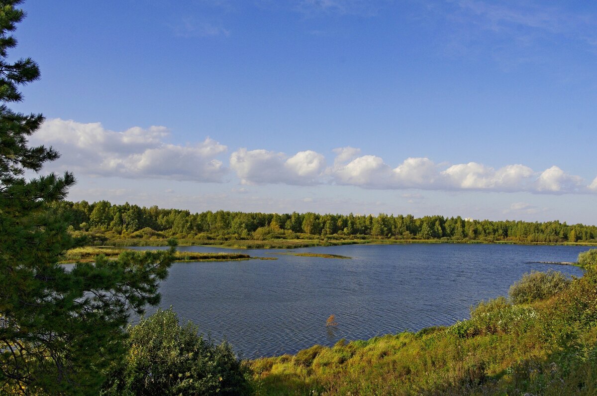Караван облаков - Сергей Швечков Караван облаков - Сергей Швечков