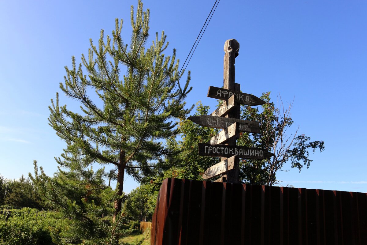 Лето на Восточной губе - Ольга 