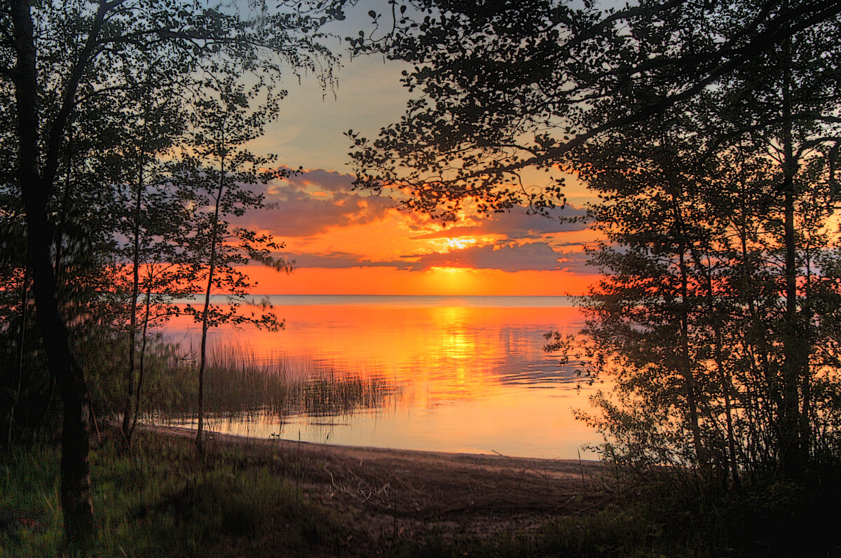 *** - Сергей Григорьев *** - Сергей Григорьев
