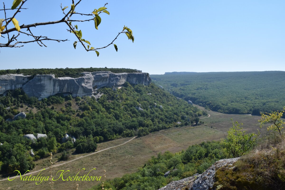 Природа Крыма - Amazing Cosmea